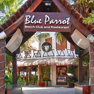 https://blue-parrot-suites-playa-del-carmen.allrivieramayahotels.com