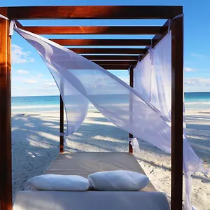 https://los-amigos-beach.allrivieramayahotels.com